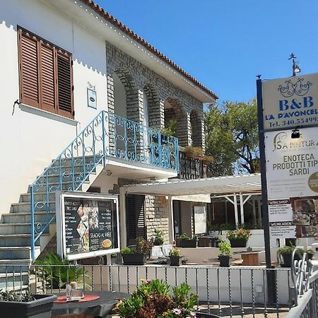 סאן תאודורו B&B La Pavoncella מראה חיצוני תמונה